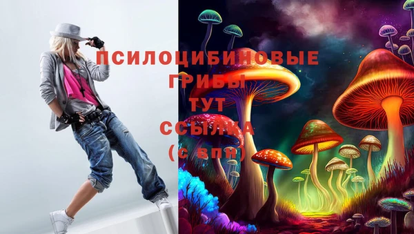 мескалин Покачи