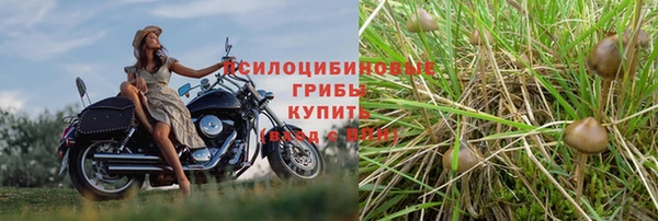 COCAINE Алзамай