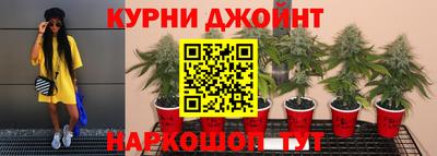 индика Аргун