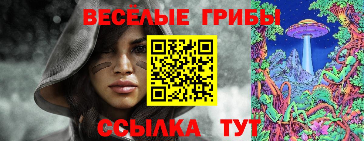 Псилоцибиновые грибы Psilocybe Кострома