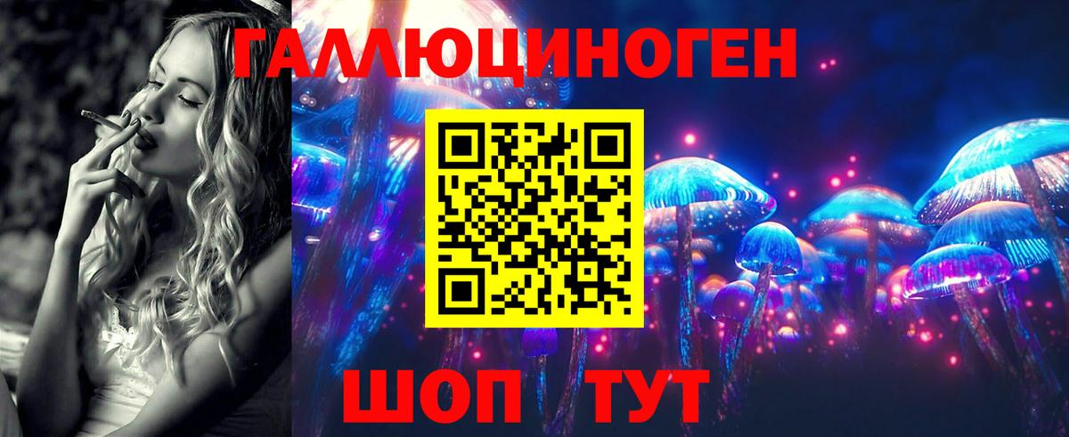 Псилоцибиновые грибы Cubensis  Вход с VPN  Кострома 
